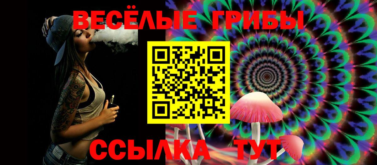 Галлюциногенные грибы Psilocybine cubensis Унеча